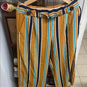 Zara Multicolor Striped Pants